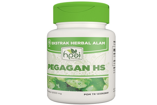 Manfaat Luar Biasa dari Pegagan HS Kesehatan Otak, Kulit, dan Jantung Anda akan Meningkat
